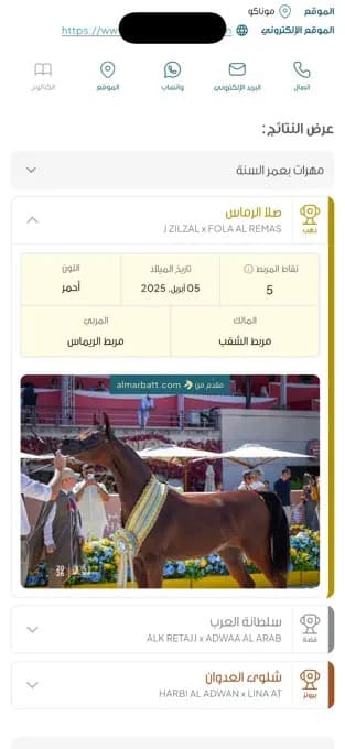 Al Marbatt: championship results with placings and pedigree