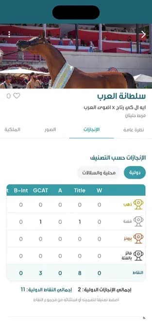 Al Marbatt: horse profile with achievements broken down by classification