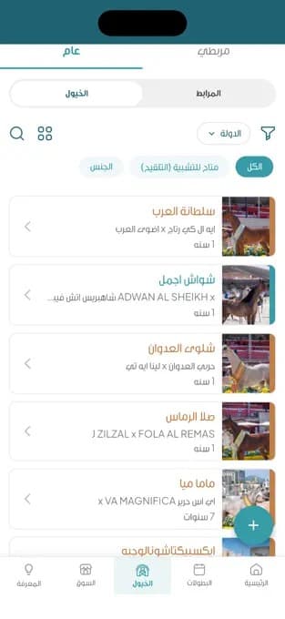 Al Marbatt: browsing horses and stables with filters